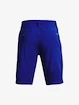 Pánske šortky Under Armour