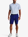 Pánske šortky Under Armour