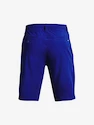 Pánske šortky Under Armour