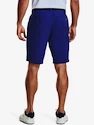 Pánske šortky Under Armour