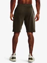 Pánske šortky Under Armour