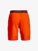 Pánske šortky Under Armour