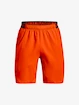 Pánske šortky Under Armour