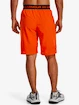 Pánske šortky Under Armour