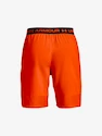 Pánske šortky Under Armour