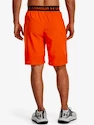 Pánske šortky Under Armour