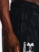 Pánske šortky Under Armour