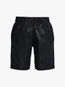 Pánske šortky Under Armour