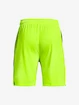 Pánske šortky Under Armour
