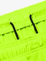 Pánske šortky Under Armour