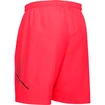 Pánske šortky Under Armour