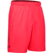 Pánske šortky Under Armour