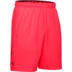 Pánske šortky Under Armour