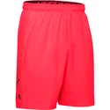 Pánske šortky Under Armour