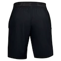 Pánske šortky Under Armour