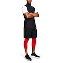 Pánske šortky Under Armour
