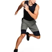 Pánske šortky Under Armour