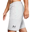Pánske šortky Under Armour