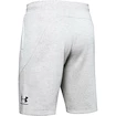 Pánske šortky Under Armour