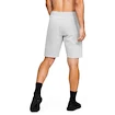 Pánske šortky Under Armour