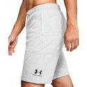 Pánske šortky Under Armour
