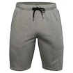 Pánske šortky Under Armour