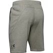 Pánske šortky Under Armour