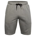 Pánske šortky Under Armour
