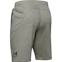 Pánske šortky Under Armour