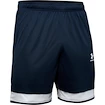Pánske šortky Under Armour