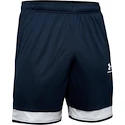 Pánske šortky Under Armour