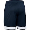 Pánske šortky Under Armour