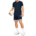 Pánske šortky Under Armour