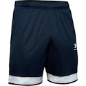 Pánske šortky Under Armour