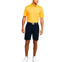 Pánske šortky Under Armour