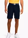 Pánske šortky Under Armour