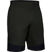 Pánske šortky Under Armour