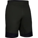 Pánske šortky Under Armour