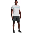 Pánske šortky Under Armour