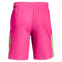 Pánske šortky Under Armour