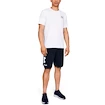 Pánske Šortky Under Armour COTTON BIG LOGO SHORTS tmavo modré