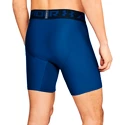 Pánske šortky Under Armour HeatGear