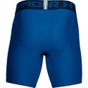 Pánske šortky Under Armour HeatGear