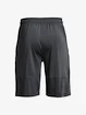 Pánske šortky Under Armour  Raid 2.0 Shorts-GRY