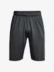 Pánske šortky Under Armour  Raid 2.0 Shorts-GRY