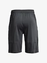 Pánske šortky Under Armour  Raid 2.0 Shorts-GRY