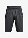 Pánske šortky Under Armour  Raid 2.0 Shorts-GRY
