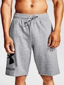 Pánske šortky Under Armour  Rival FLC Big Logo Shorts gray M