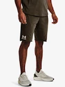 Pánske šortky Under Armour