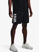 Pánske šortky Under Armour